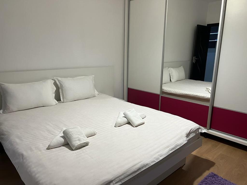 Tudor Central Apartment Mihai Viteazu Square Cluj-Napoca Eksteriør billede
